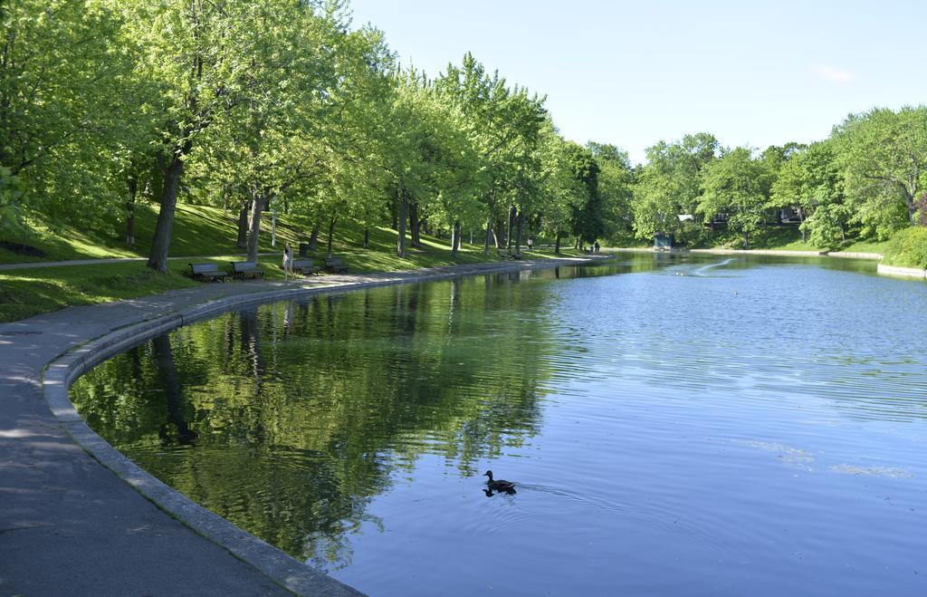 Auberge De La Fontaine Montreal Luaran gambar